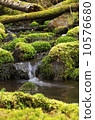 spring  10576680