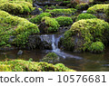 spring  10576681