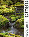 spring  10576682