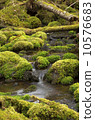 spring  10576683