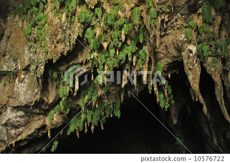 Clearwater Cave (Gunung Mul National Park / East Malaysia / Borneo Island) 10576722