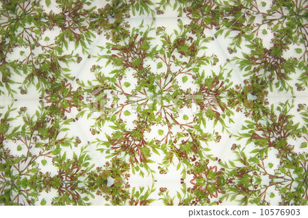 Kaleidoscope Kaleidoscope 10576903