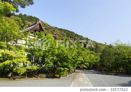 Eikan-do of Kyoto fresh green 10577822