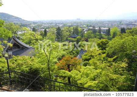Inside the precinct as seen from the Kyoto Eikendo Tōkyō Tower 10577823