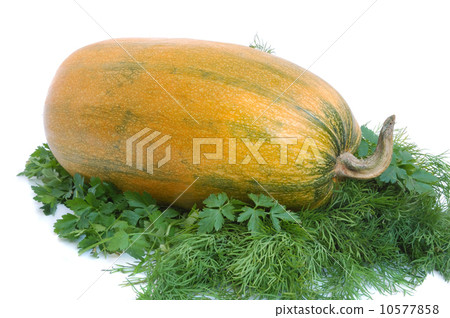 Yellow squash and greens 10577858