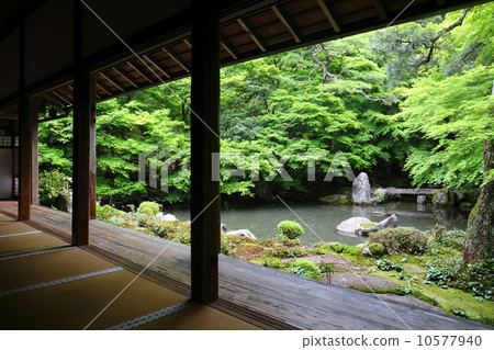 Rensaji Temple of Kyoto fresh green 10577940