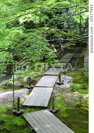 京都Rensaji寺廟新綠色 10577942