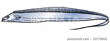 Tattoo 10578002