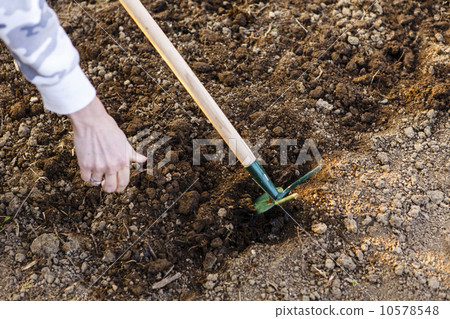 woman hand sowing seed 10578548