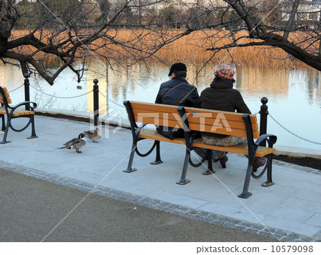 在池塘邊 在池塘邊 10579098