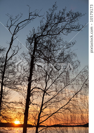 Sunset on the Saimaa lake in Finland with silhouettes of trees Sunset on the Saimaa lake in Finland with silhouettes of trees 10579173