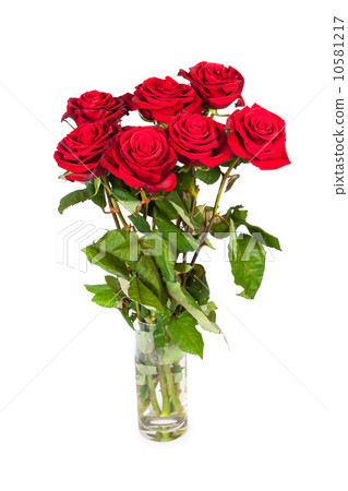 Three fresh red roses over white background 10581217