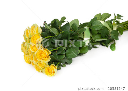 Group of fresh yellow roses 10581247
