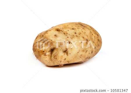 One potato isolated on white One potato isolated on white 10581347