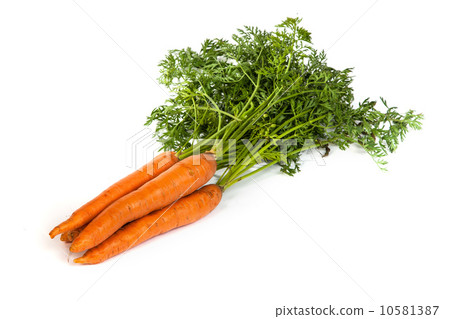 Bunch of fresh carrot isolated on white 10581387