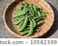 Sayakuendo snack peas 10582399
