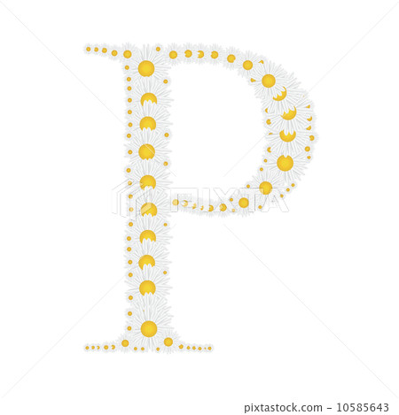 flower alphabet from White daisies vector illustration flower alphabet from White daisies vector illustration 10585643