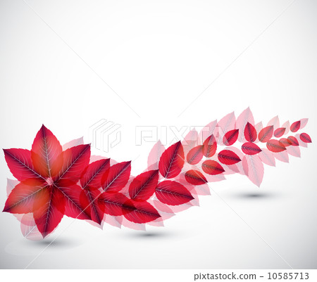 Abstract nature background with leaves. Vector iilustration 10585713