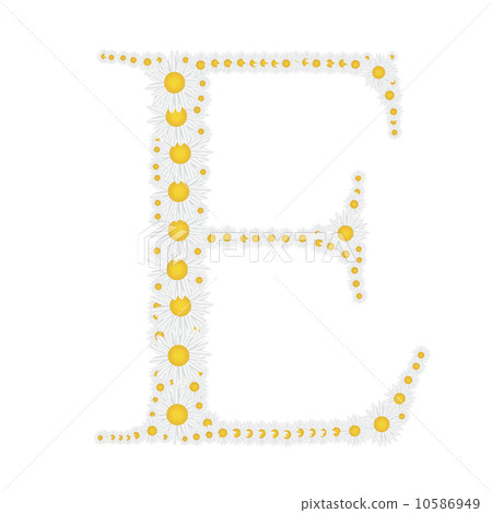 flower alphabet from White daisies vector illustration flower alphabet from White daisies vector illustration 10586949