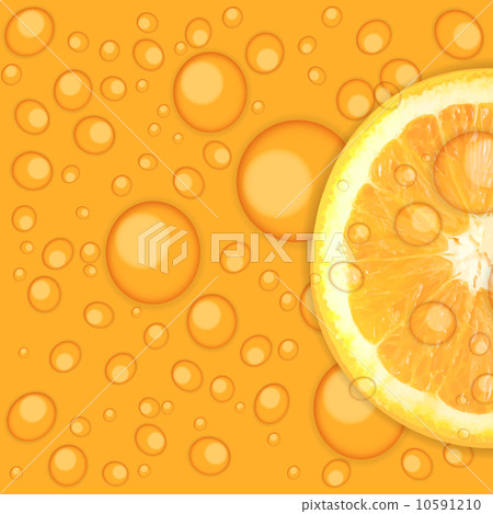 Fresh juicy orange background vector illustration 10591210