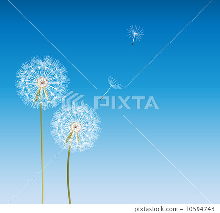 abstract dandelion background vector illustration abstract dandelion background vector illustration 10594743