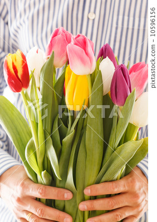 bouquet of tulips in a hand 10596156
