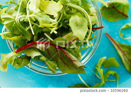 fresh salad fresh salad 10596260