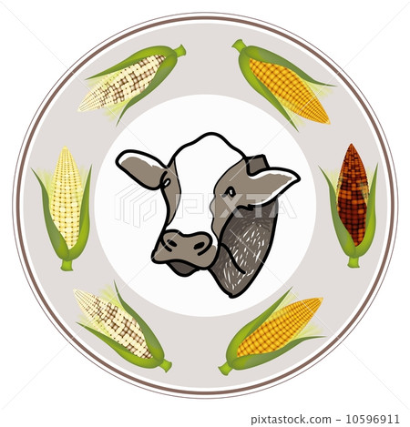 Round Label of A Cow with Fresh Corn 10596911