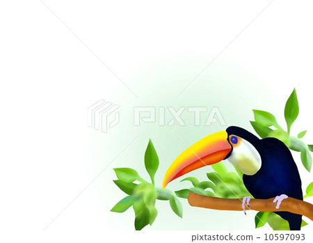 A Hornbill on Branch and Leaves Background 10597093