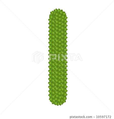 Four Leaf Clover of Alphabet Letter I Four Leaf Clover of Alphabet Letter I 10597172