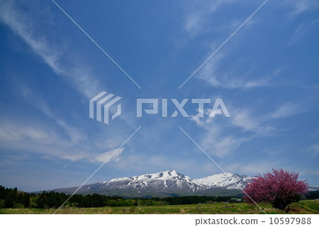 初夏的Chokai山02 10597988