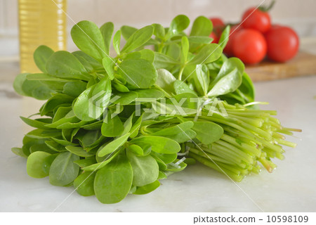 Purslane 10598109