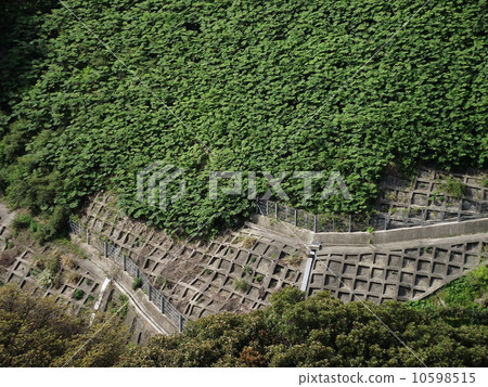 陡坡受植被和混凝土結構的保護 10598515