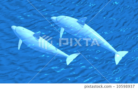 Dolphin 2 10598937