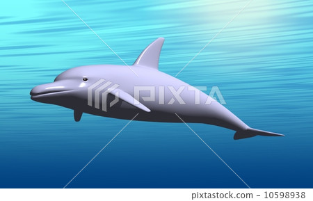 海豚1 10598938