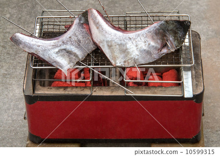 Tuna Grilled Tuna 10599315