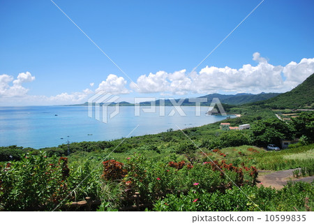 石垣島 石垣島 10599835