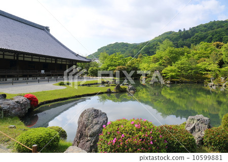 京都Tenryuji初夏清酒池塘花園 10599881