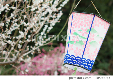 梅花節日景觀 10599943