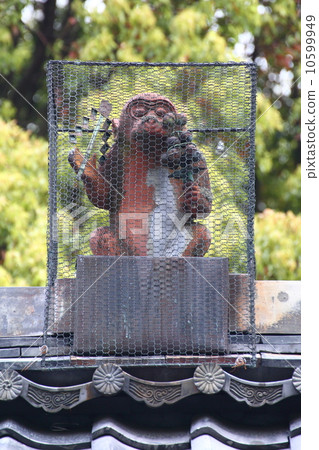 Kyoto Akayama Zen monkey monkey monkey 10599949