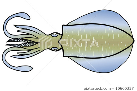 AOLIICA AOLIICA 10600337