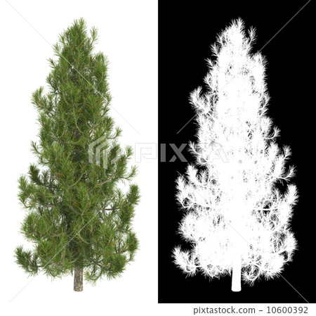 Green Pine with Detail Raster Mask. 10600392
