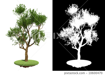 Green Tree with Few Branches Detail Raster Mask. 10600470