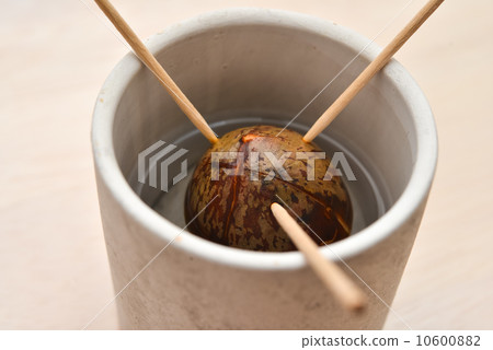 鱷梨水培文化 鱷梨水培文化 10600882