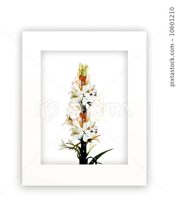 Tuberose Flowers in White Frame Tuberose Flowers in White Frame 10601210