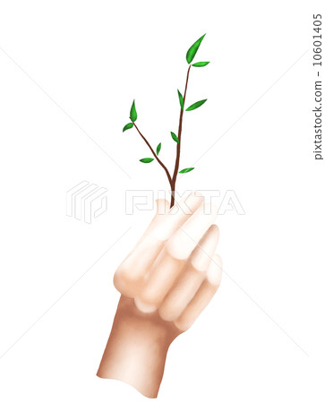 A Hand Holding A Short Branch with Green Leaves A Hand Holding A Short Branch with Green Leaves 10601405