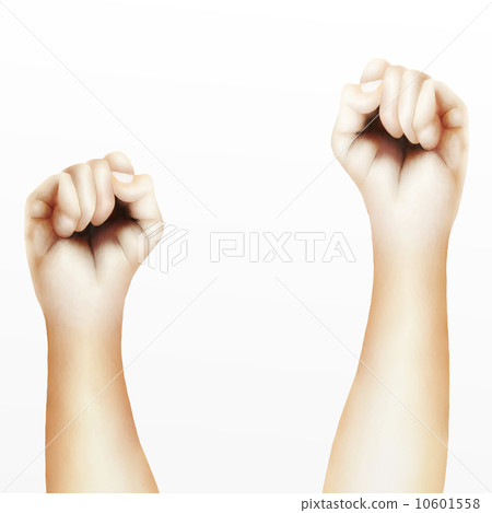 Human Hands Clenched Fists Raised Up Against White Background Human Hands Clenched Fists Raised Up Against White Background 10601558