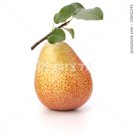 Pear Pear 10602245