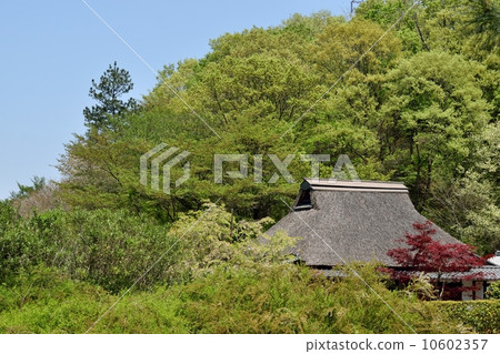 山村的圖像在春天 10602357