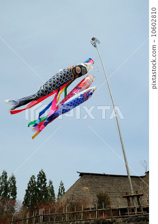 鯉魚飄帶和解凍的屋頂 10602810